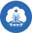 Tuyên Quang
