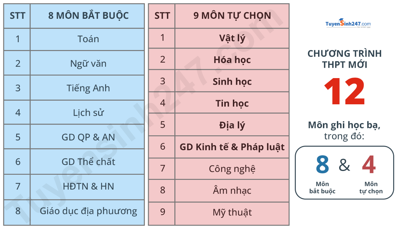 Tư vấn chọn môn 10