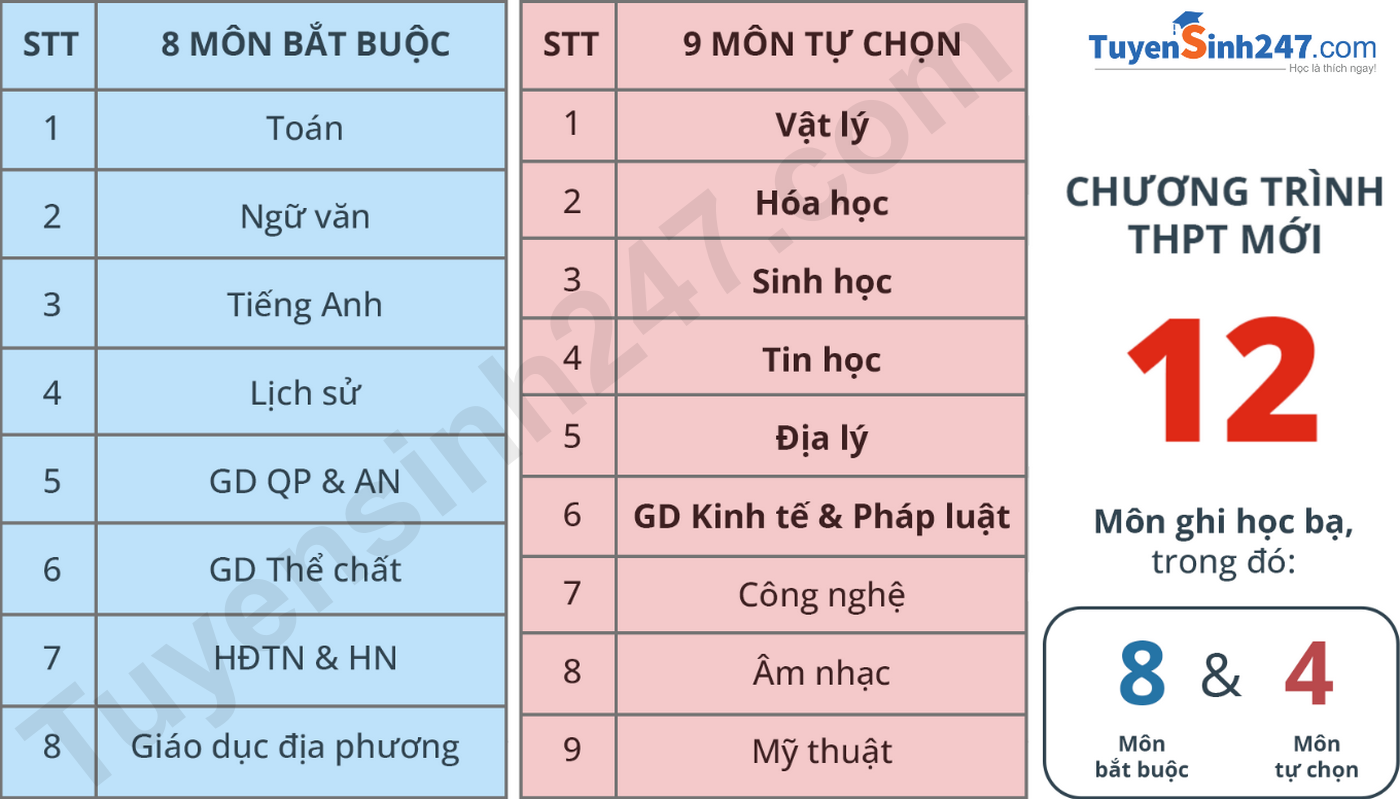 Tư vấn chọn môn 10